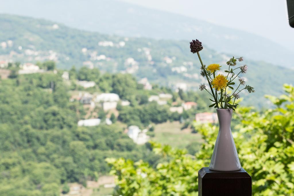 Hotel San Stefano Цагкарада Номер фото
